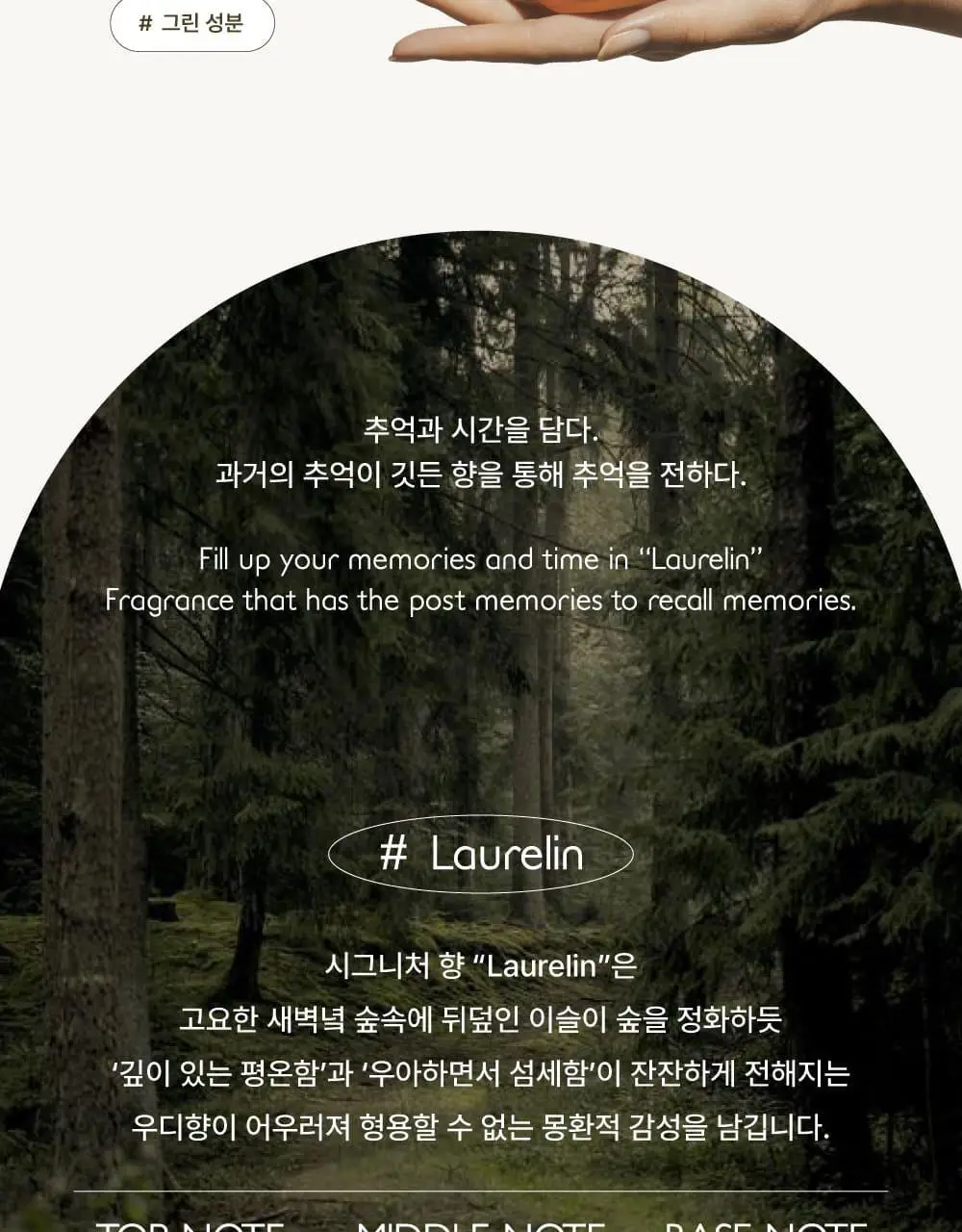 [탈모증상완화/알러젠프리향] 애쉬로렌 독일 맥주효모 샴푸 500ml 상세페이지 27